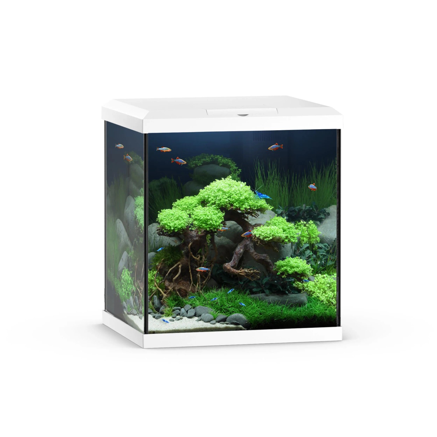 Juwel Aquarium-Set Vio Cube 54 LED SBX Weiß