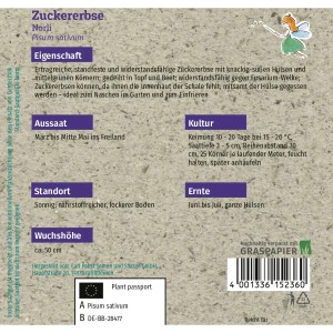 Saatguttüte Grüne Fee Zuckererbse Norli, samenfest für ca. 70 Pflanzen.