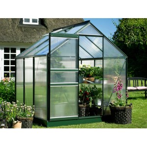 Grünes Halls Gewächshaus Popular 66 (3,8 m²) mit geöffneter Tür und Pflanzen im Inneren.