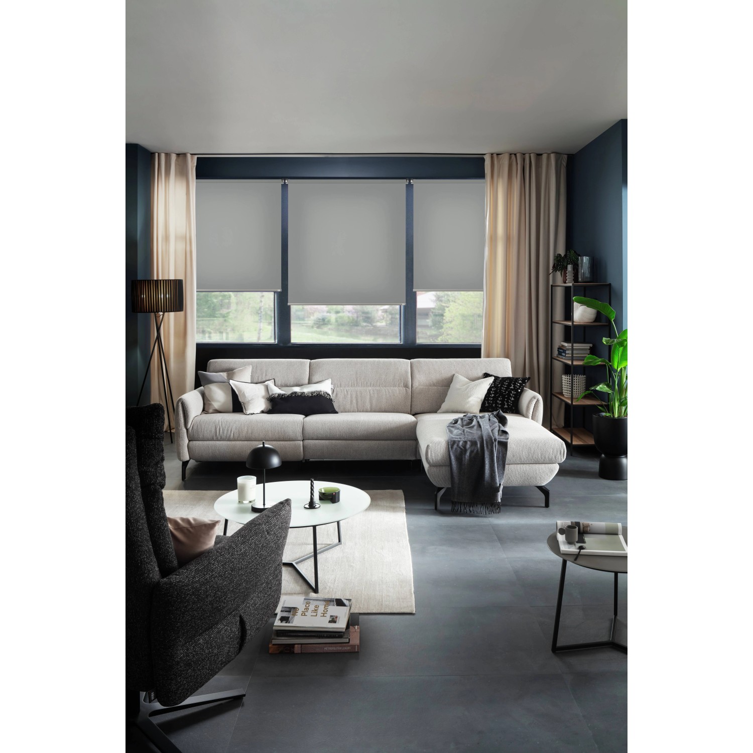 Schöner Wohnen Tageslicht-Rollo Tizia, 80x210 cm, Anthrazit im modernen Wohnzimmer.