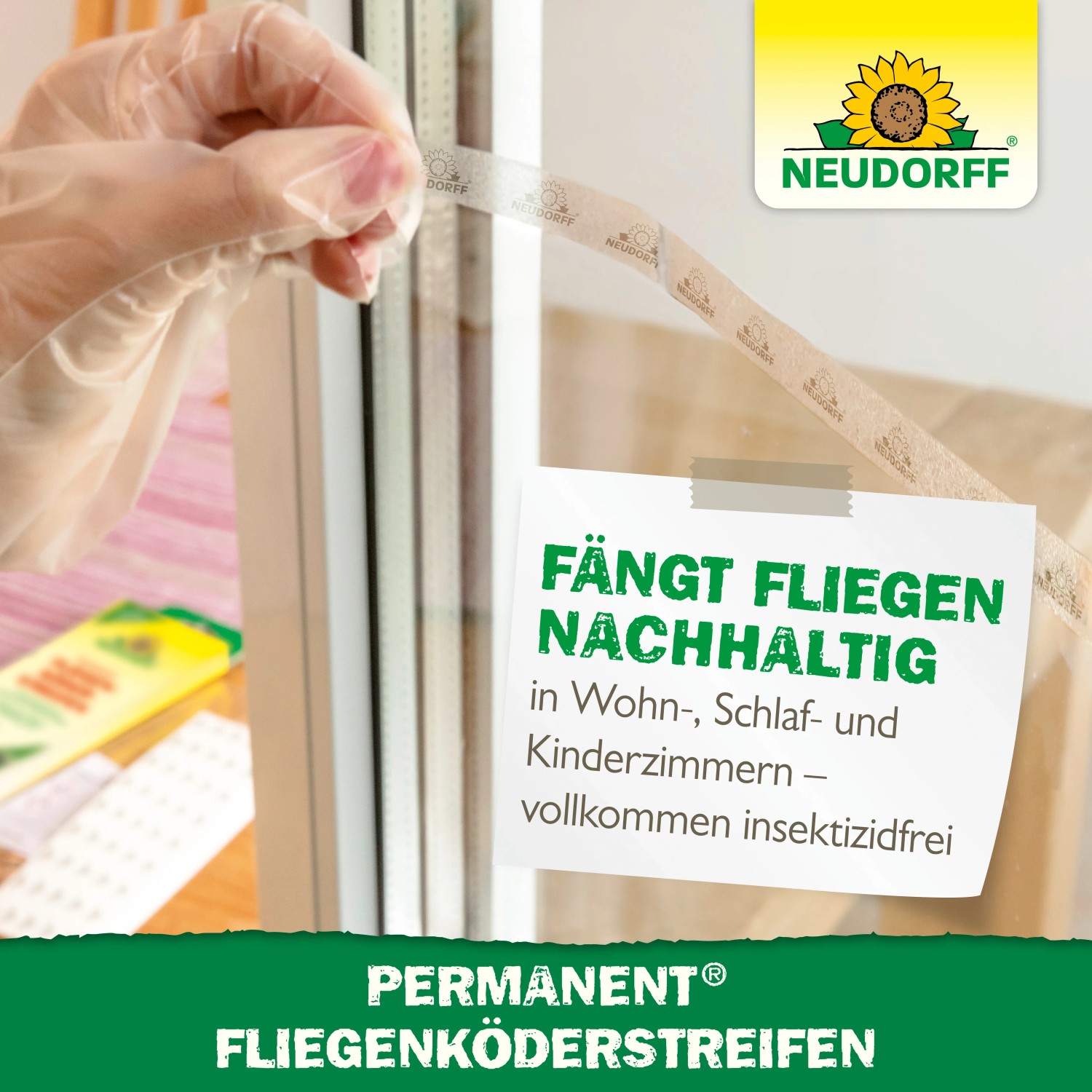 Neudorff Permanent Fliegenköder-Streifen, angebracht an einem Fenster, zur Fliegenbekämpfung.
