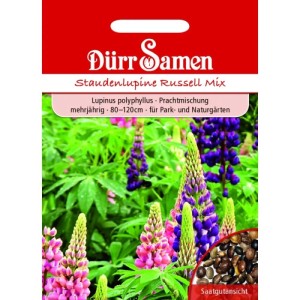 Dürr Samen Staudenlupine Prachtmischung Saatgutpackung mit bunten Lupinenblüten in Pink und Lila, inkl. Samenansicht.