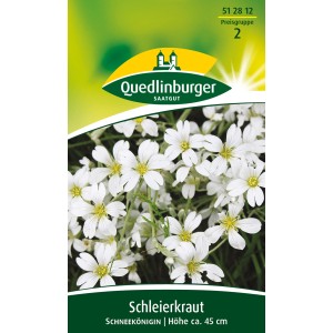 Quedlinburger Schleierkraut Schneekönigin: Samen für weiße, zarte Blüten.