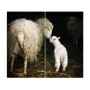 Banjado Herdabdeckplatte 2-teilig mit Schaf- und Lamm-Motiv, auch als Schneidebrett nutzbar.