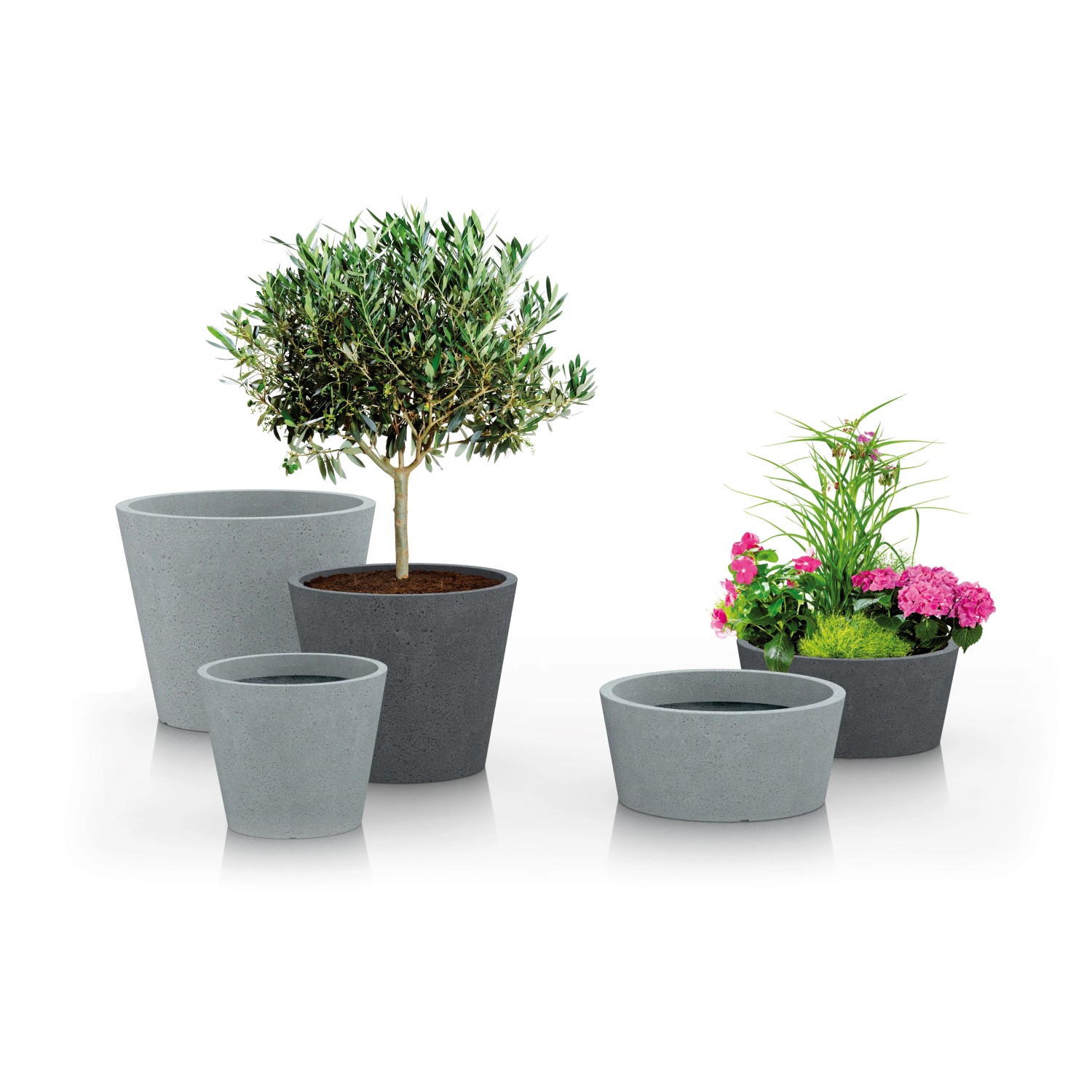 Scheurich Pflanzschalen C-Cone in Stony Black und Grau mit Bepflanzung.