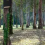 Schwarzes Wild Yard Fledermaushaus aus Zedernholz für bis zu 75 Fledermäuse.