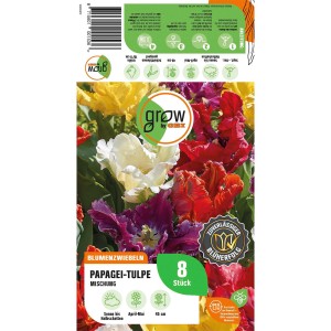 Verpackung GROW by OBI Papagei-Tulpen Mischung, 8 Stück Blumenzwiebeln mit farbenfrohen Tulpen.