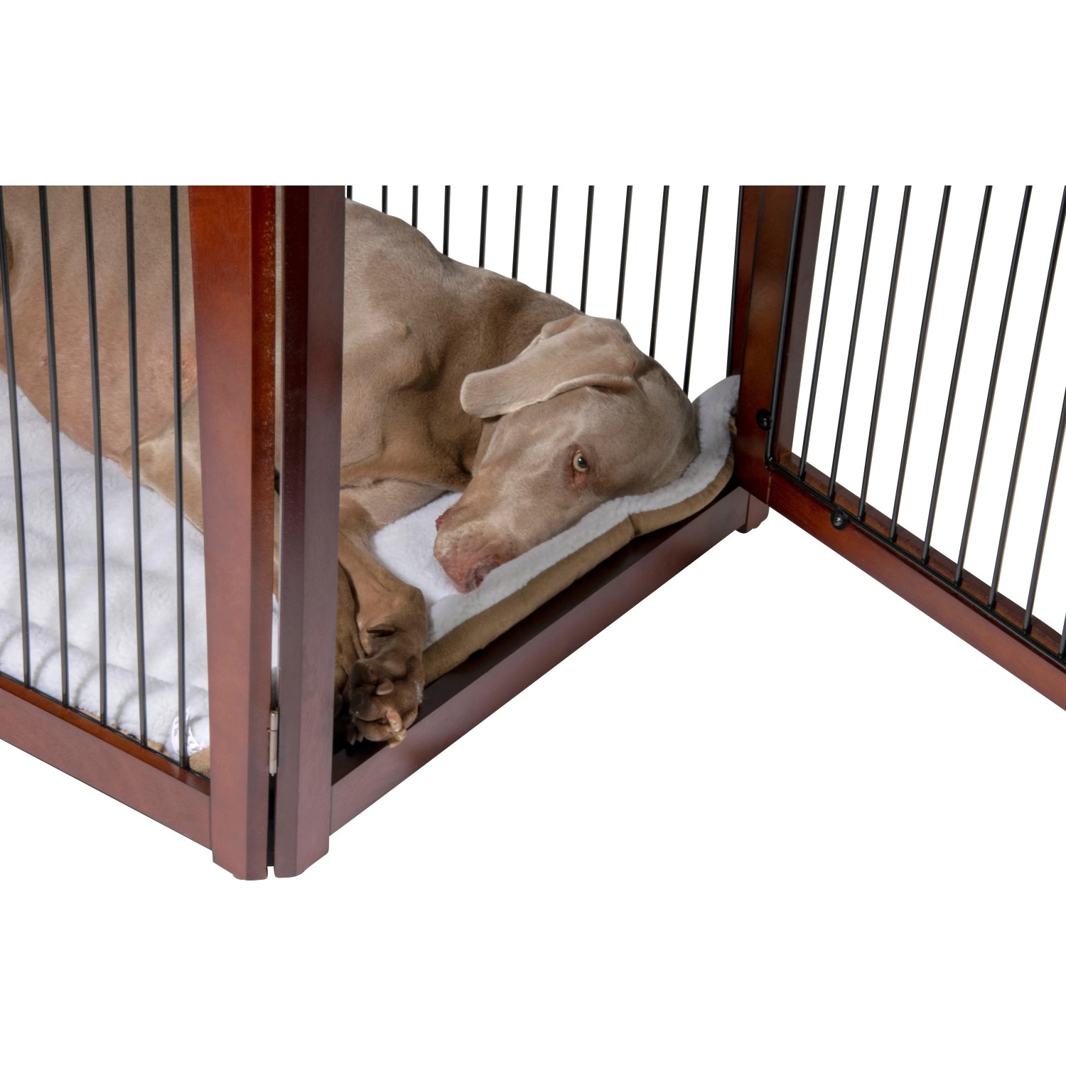 Großer, brauner Hundekäfig aus Holz mit Hund darin. Der Hund liegt auf einem Kissen im Hundezwinger.