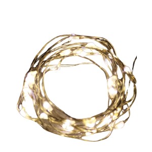Lex 20er Micro LED Drahtlichterkette, batteriebetrieben, warmweiß, silbernes Kabel, aufgerollt. Auch unter Wasser nutzbar.