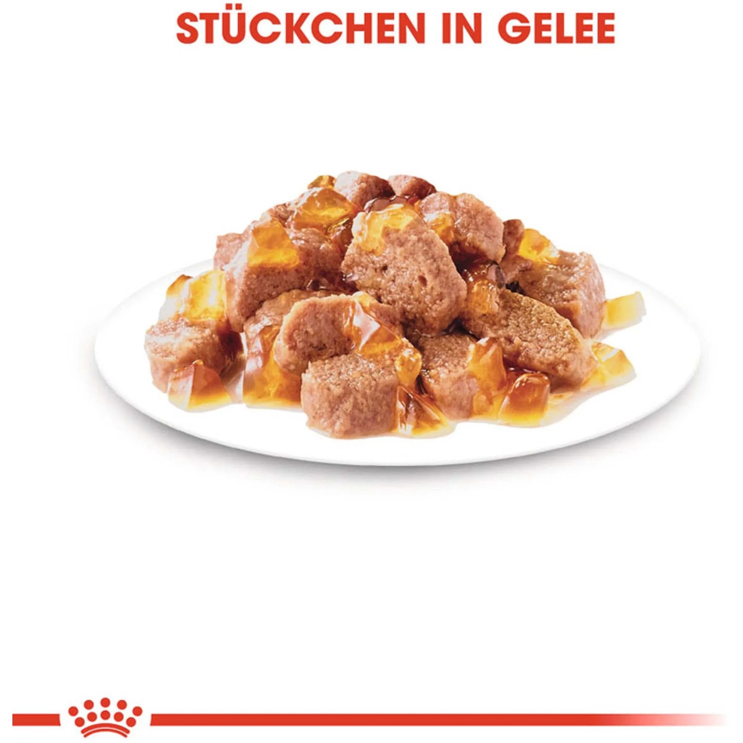 Royal Canin Hair & Skin Care Katzennahrung Nassfutter in Gelee, Stückchen auf einem Teller.
