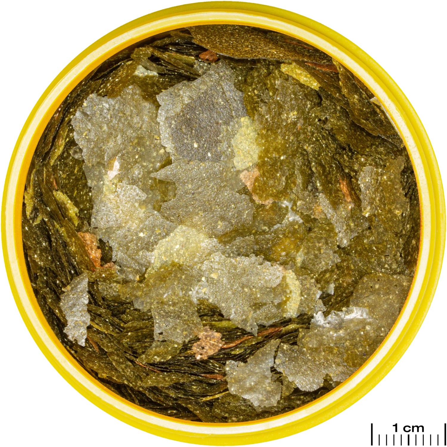 JBL Pronovo Malawi Flakes M Fischfutter, Flocken in Dose, Detailansicht.