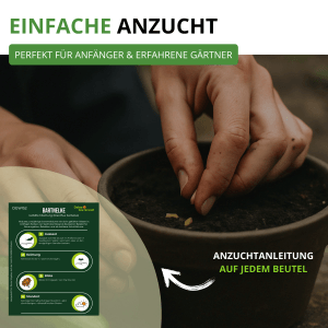Aussaat von Bartnelke Samen in einen Topf. Deine Gartenwelt Bartnelke, gefüllte Mischung.