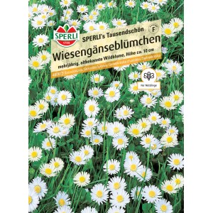 Sperli Saatgut Wiesengänseblümchen SPERLI's Tausendschön