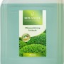 Kanister Biplantol Pflanzenstärkungsmittel Buxus 10L für Buchsbäume.