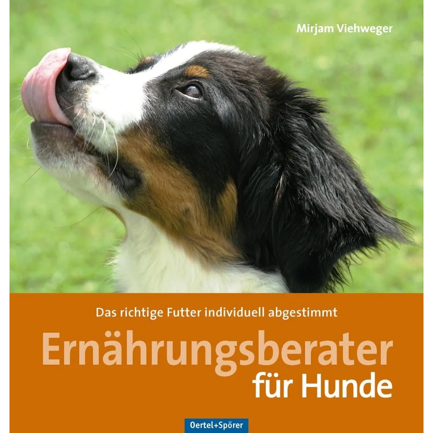 Ernährungsratgeber für Hunde