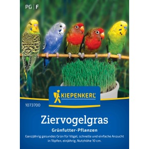 Kiepenkerl Saatgut Ziervogelgras Frischgrün Mischung