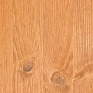 Holzstruktur, behandelt mit biopin Holz-Coloröl Eiche, für Innen- und Außenbereich.