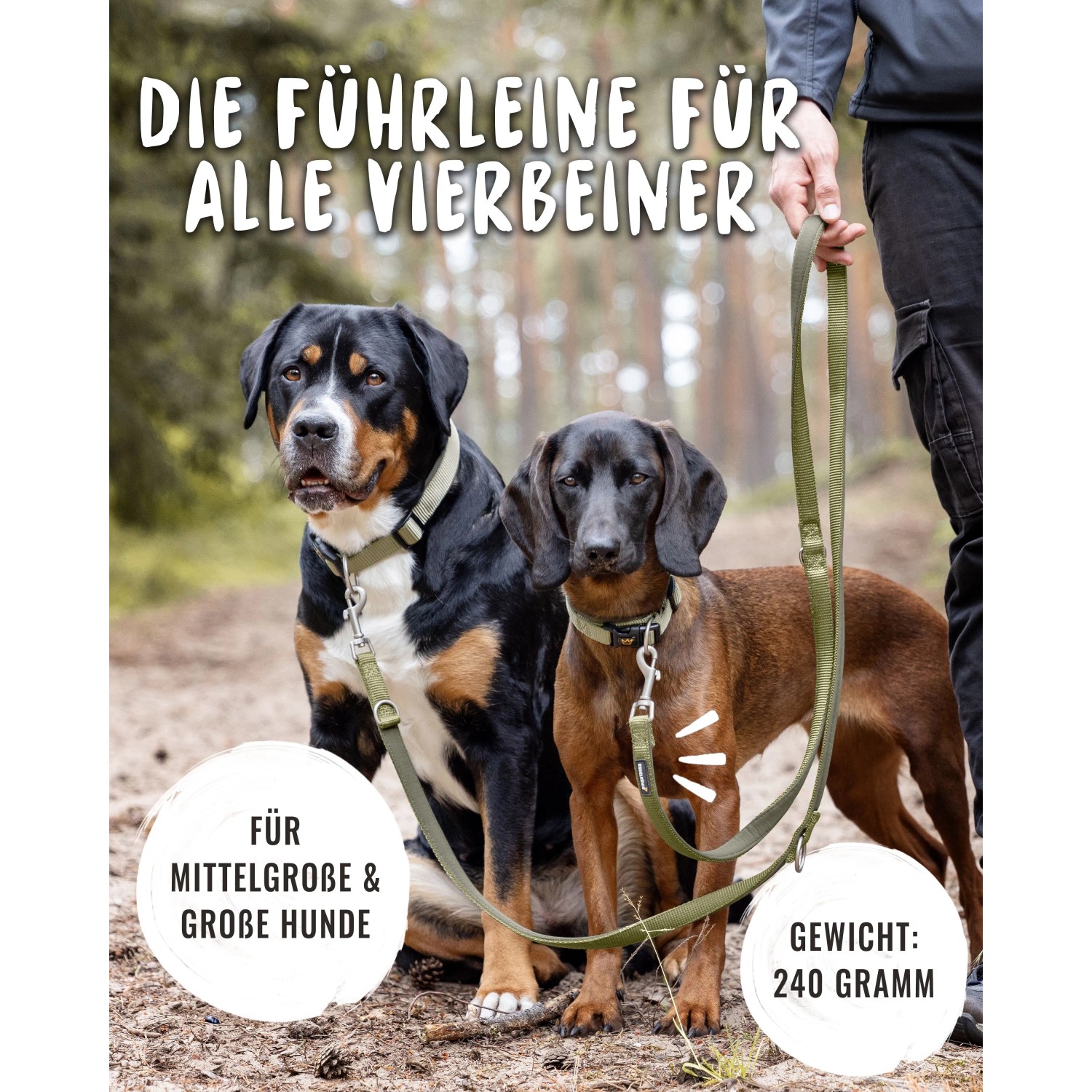 Grüne Rudelkönig Hundeleine Bella, 20mm breit, mit zwei Hunden und Person.