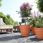 Elho Blumentopf Vibia Campana, Ø 55 cm, Terra, mit Pflanzen auf einer Terrasse.