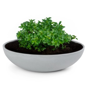 Hellgraue, marmorierte Pflanzschale (30x9 cm) von matches21 HOME&HOBBY, bepflanzt.