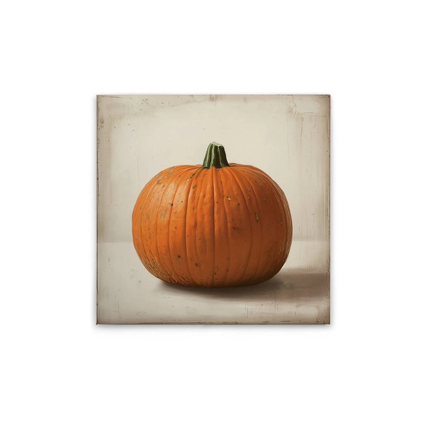 Tadessi Leinwandbild - M1-No.51847 - Kürbis - 40 x 40 cm - Quadratisch