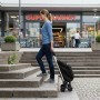 Relaxdays Einkaufstrolley Polyester Aluminium Schwarz Treppensteiger Klappbar 101 cm x 48 cm x 38 cm 2,5 kg_2