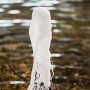 Wasserspiel mit Heissner Teichpumpen-Set Aqua Jet Eco, 4900 l/h im Gartenteich.