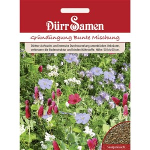 Dürr Samen Gründüngung Bunte Mischung 50 G Saatgut