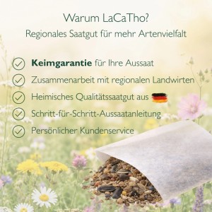 LaCaTho Lebensraum 1 Streuobstwiesen Samen in Papiertüte. Wildblumenmischung für Bienen & Artenvielfalt.