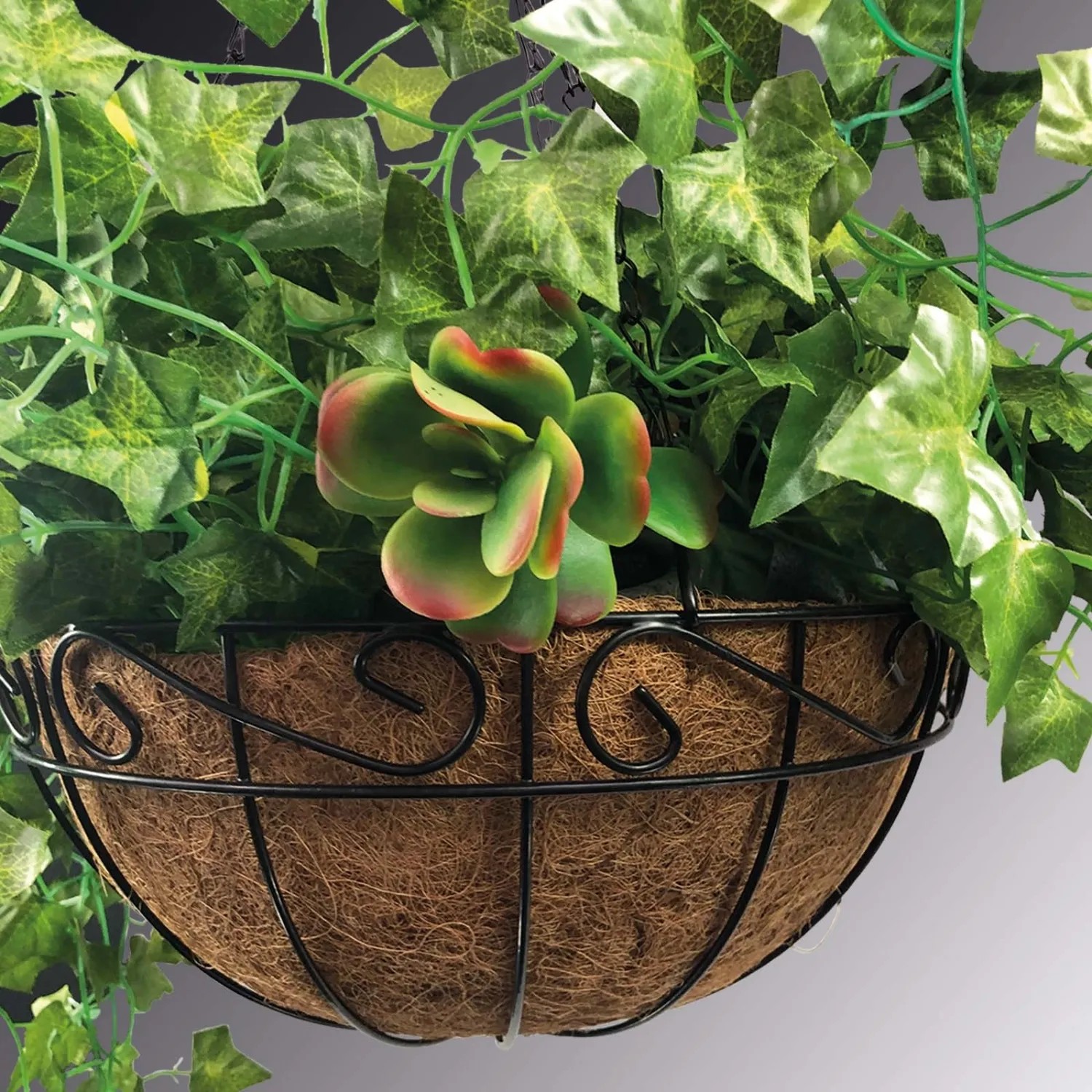 Dekorative Hängeampel (Ø 25cm) mit Kokoseinsatz und Bepflanzung für Balkon und Garten.