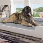 Hundesofa XXL aus Kiefer Weiß mit Bernhardiner im Tierbett 120x70 cm mit Rollrost und Matratze.