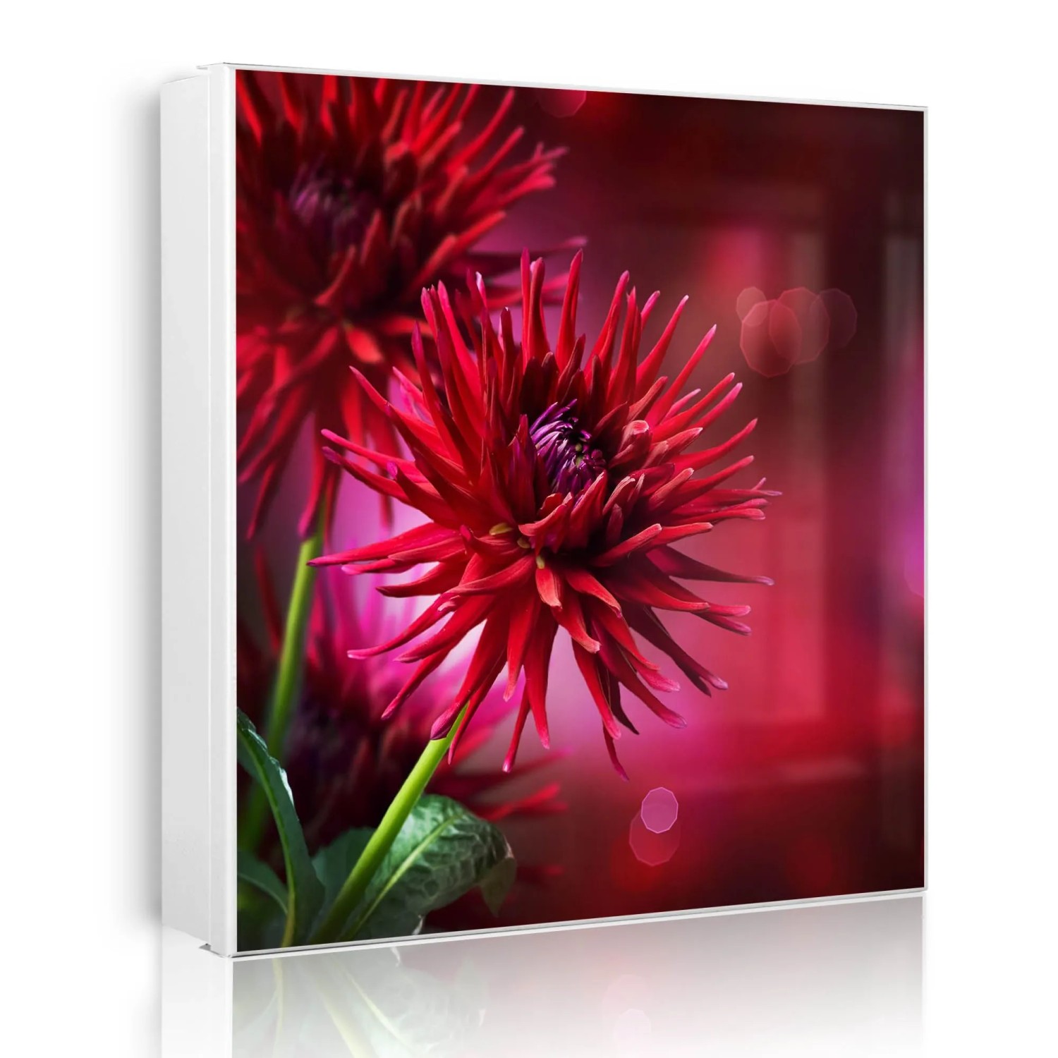 Banjado Großer Schlüsselkasten Metall 30x30cm Weiß Scharnier Links 50 Haken Beschreibbar Magnetisch Motiv Rote Dahlien