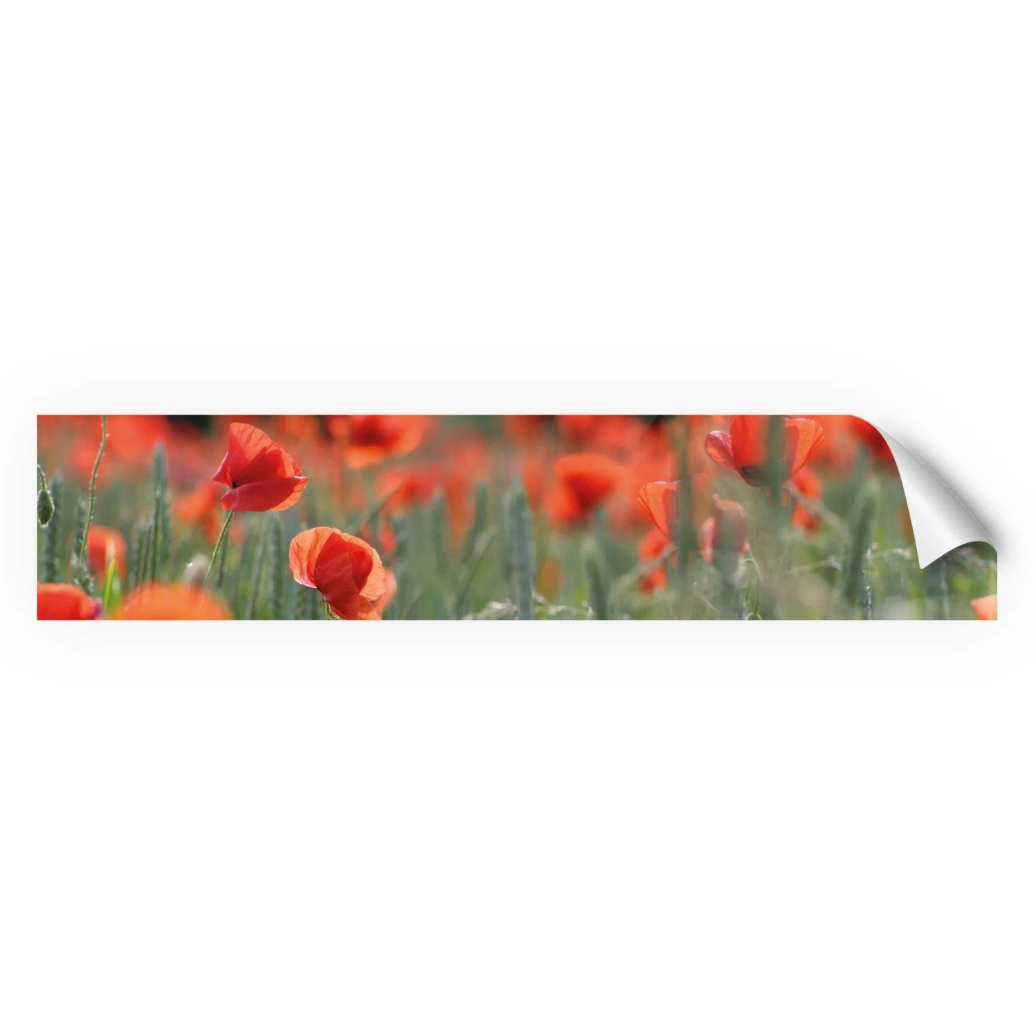 Myspotti Küchenrückwandfolie Mohn Selbstklebend 280 cm x 60 cm