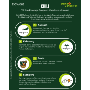Infografik: Deine Gartenwelt Chili Trinidad Moruga Scorpion Gemüsesamen Anzucht. Schritte für Aussaat, Keimung, Ernte, Standort.