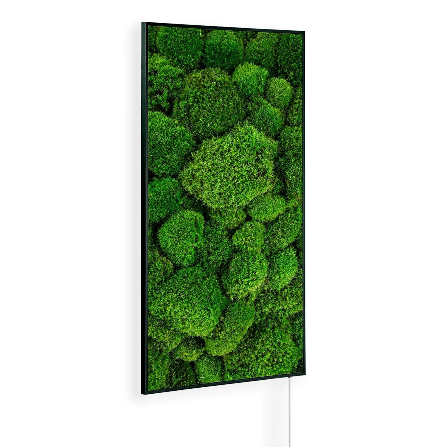Könighaus Infrarotheizung Moos Ambient Edition 450 W Schwarz