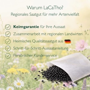 LaCaTho Bienenbaum Samen Tetradium Daniellii, 100 schwarze Samen aus Papiertüte auf Blumenwiese. Keimgarantie, Qualitätssaatgut.