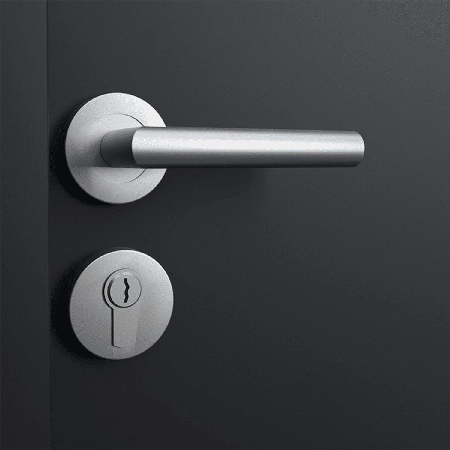 Detailansicht: Anthrazitfarbene FM Tür NBT56 mit silbernem Türgriff und Schlossrosette.