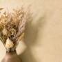 Moderne Vliestapete Desert Beige mit feiner Leinen-Textur. Unifarbe, ideal für stilvolle Wohnräume.
