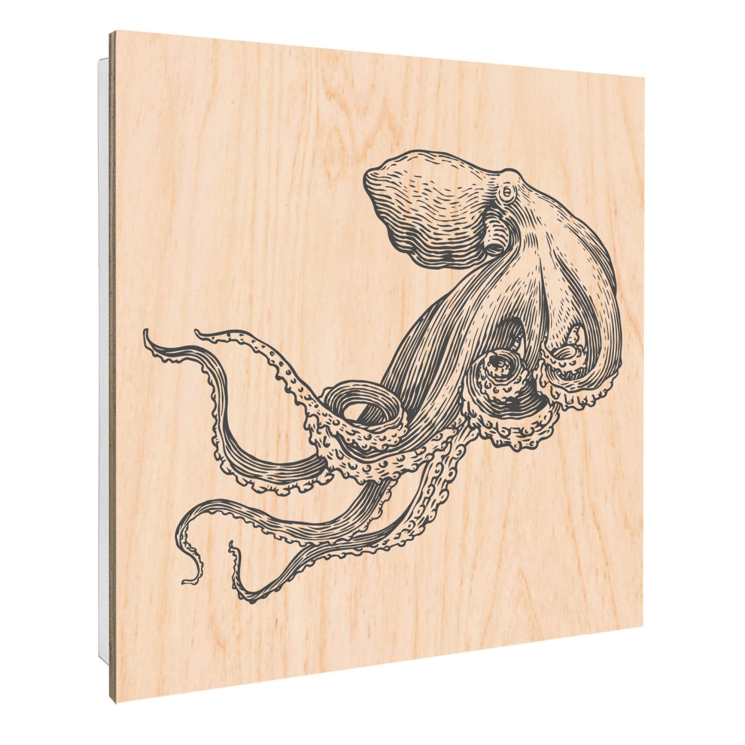 Banjado Großer Schlüsselbox Holz 30x30cm Weiß Scharnier Rechts 50 Haken Sch günstig online kaufen