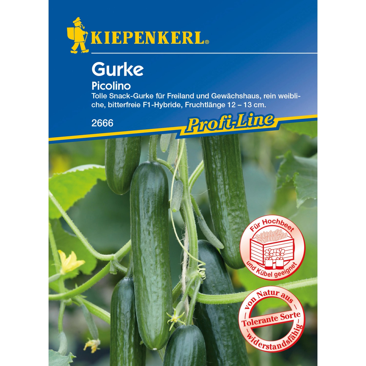 Kiepenkerl Profi-Line Saatgut Gurke Picolino günstig online kaufen