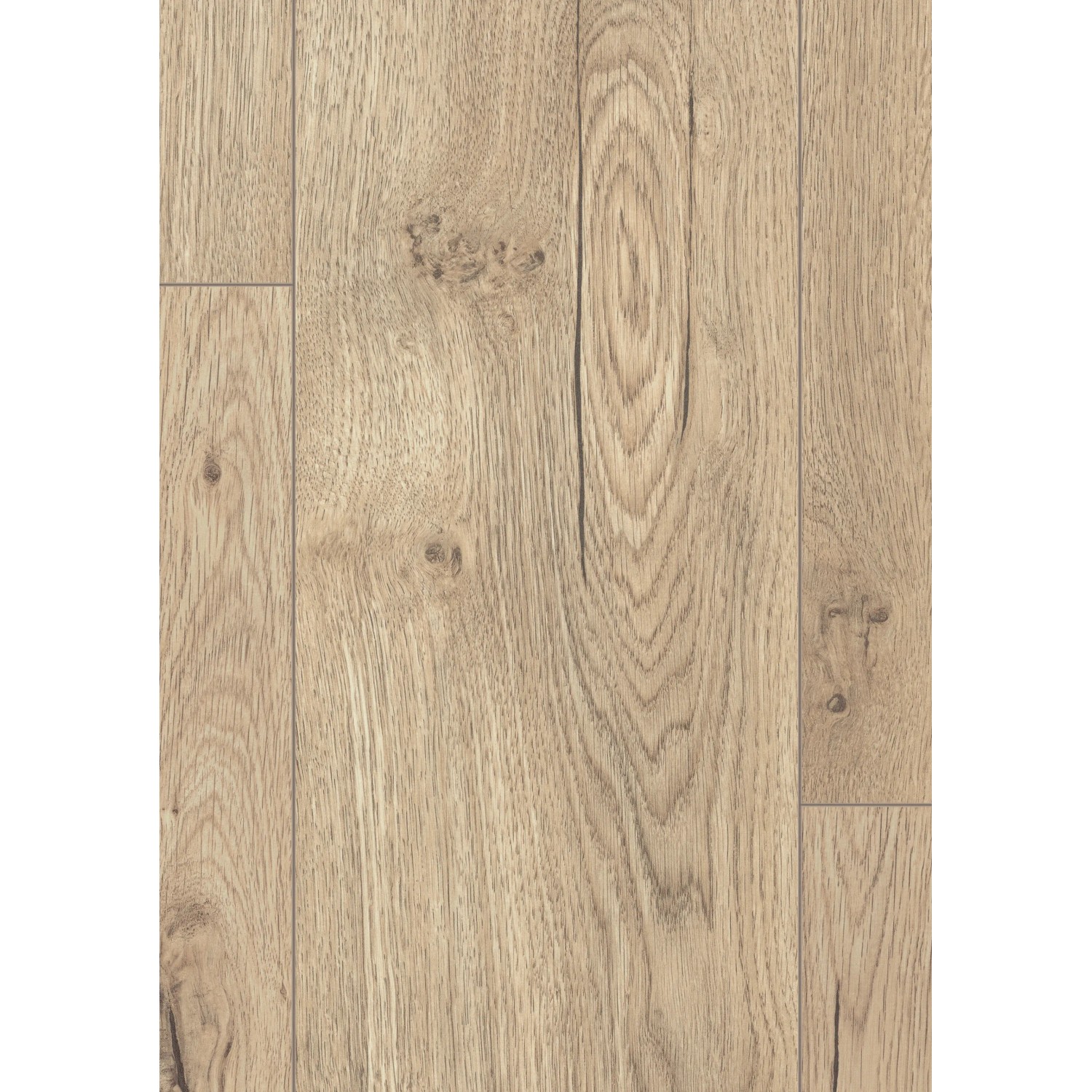 Egger Aqua Laminatboden EL2855 NatureSense Olchon Eiche sandbeige, Detailansicht der Holzstruktur.