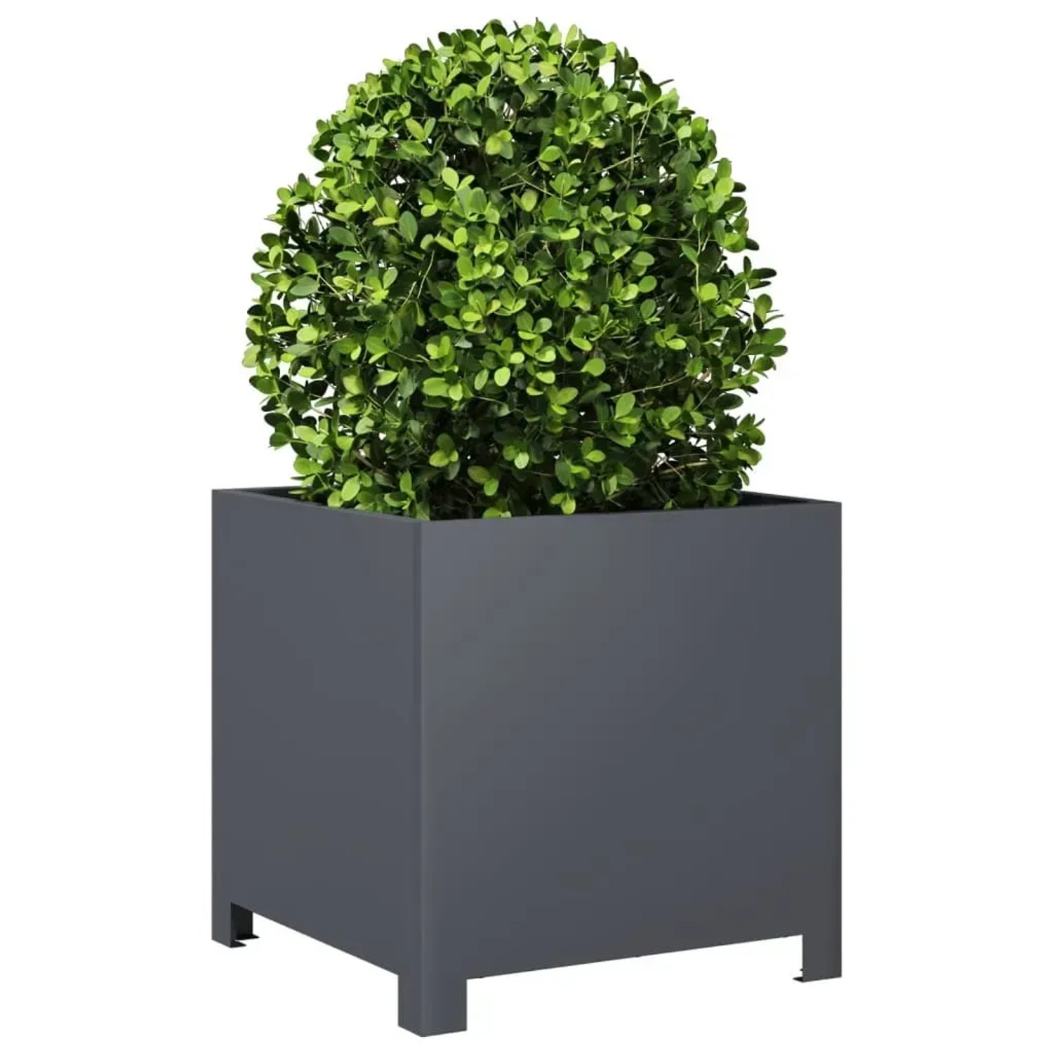 vidaXL Pflanzkübel Anthrazit 40x40x40 Stahl 851203_3