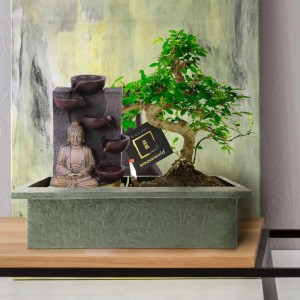 S-förmiger Bonsai Baum mit grünen Blättern neben Buddha Wasserfall in rechteckigem, strukturiertem Topf. Hausbäume Dekoration.