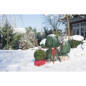 Eingepackte Pflanzen im Winter mit Videx Garden Jutesack 60x110cm in Grün zum Schutz vor Frost.