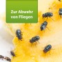 Fliegen auf Ananas, zur Illustration der Wirkung von Ardap Repell Fliegenspray.