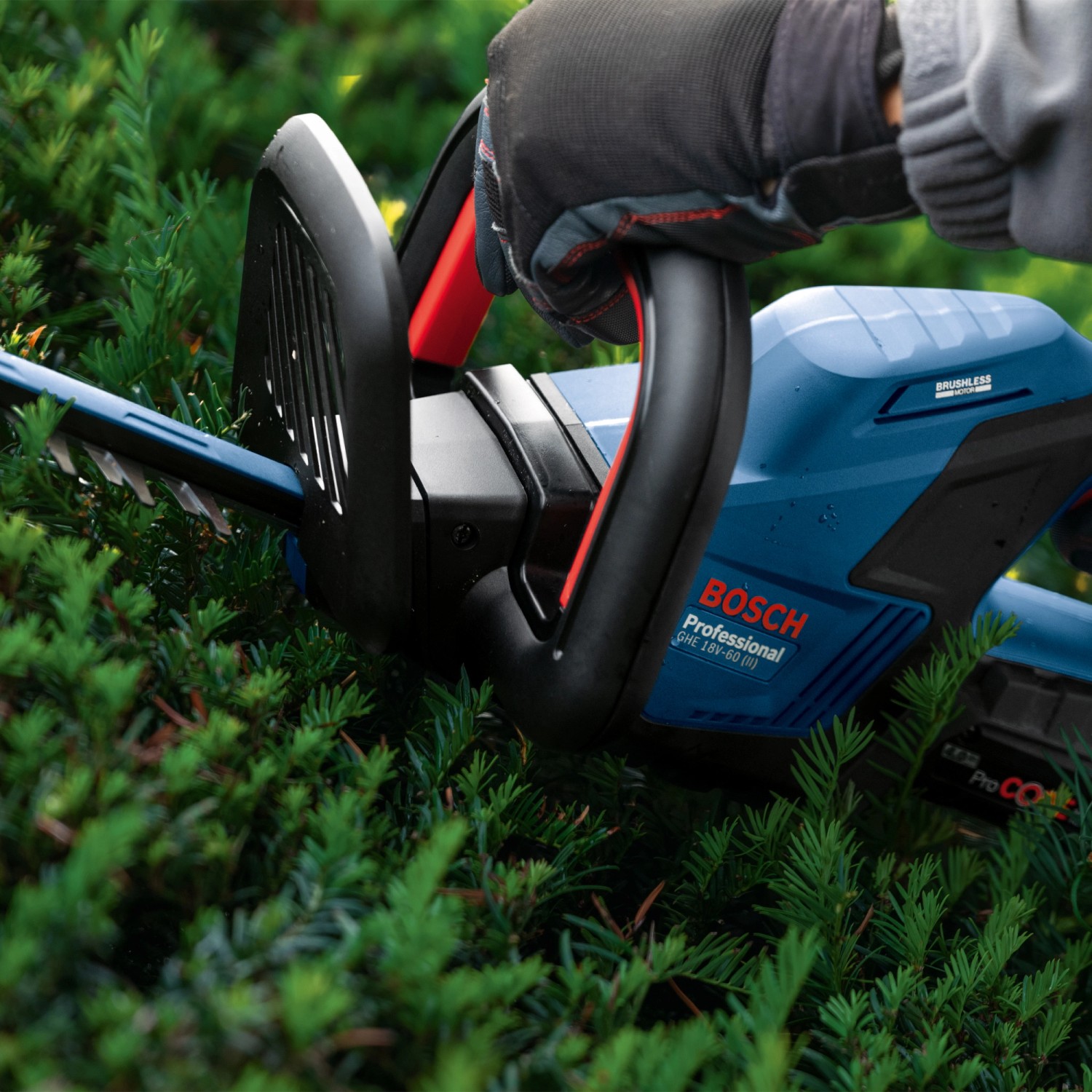 Bosch Professional AkkuHeckenschere GHE 18V60(II) Solo kaufen bei OBI