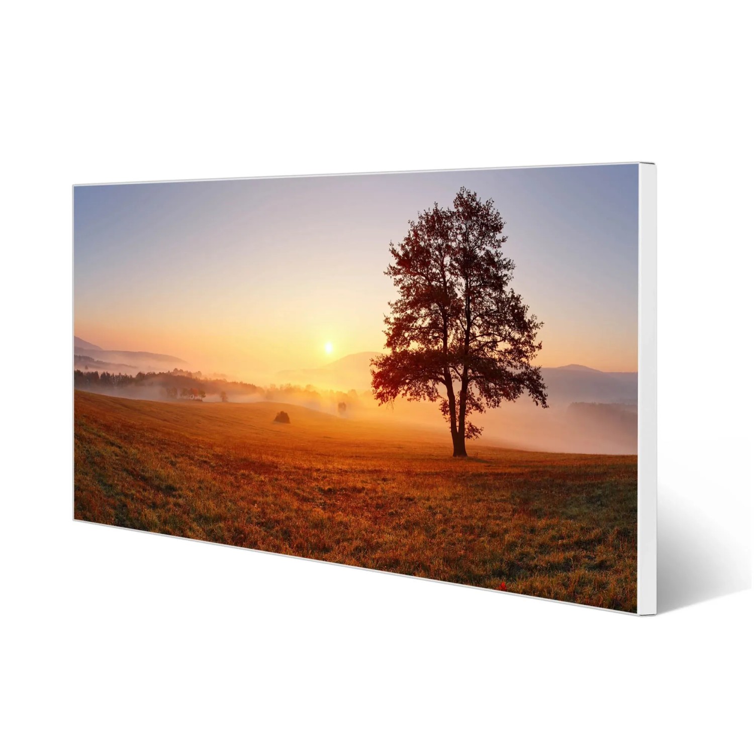 Banjado Magnettafel mit Sonnenaufgang-Motiv: Baum auf nebligem Feld bei warmem Licht. Weiße Metall-Pinnwand.