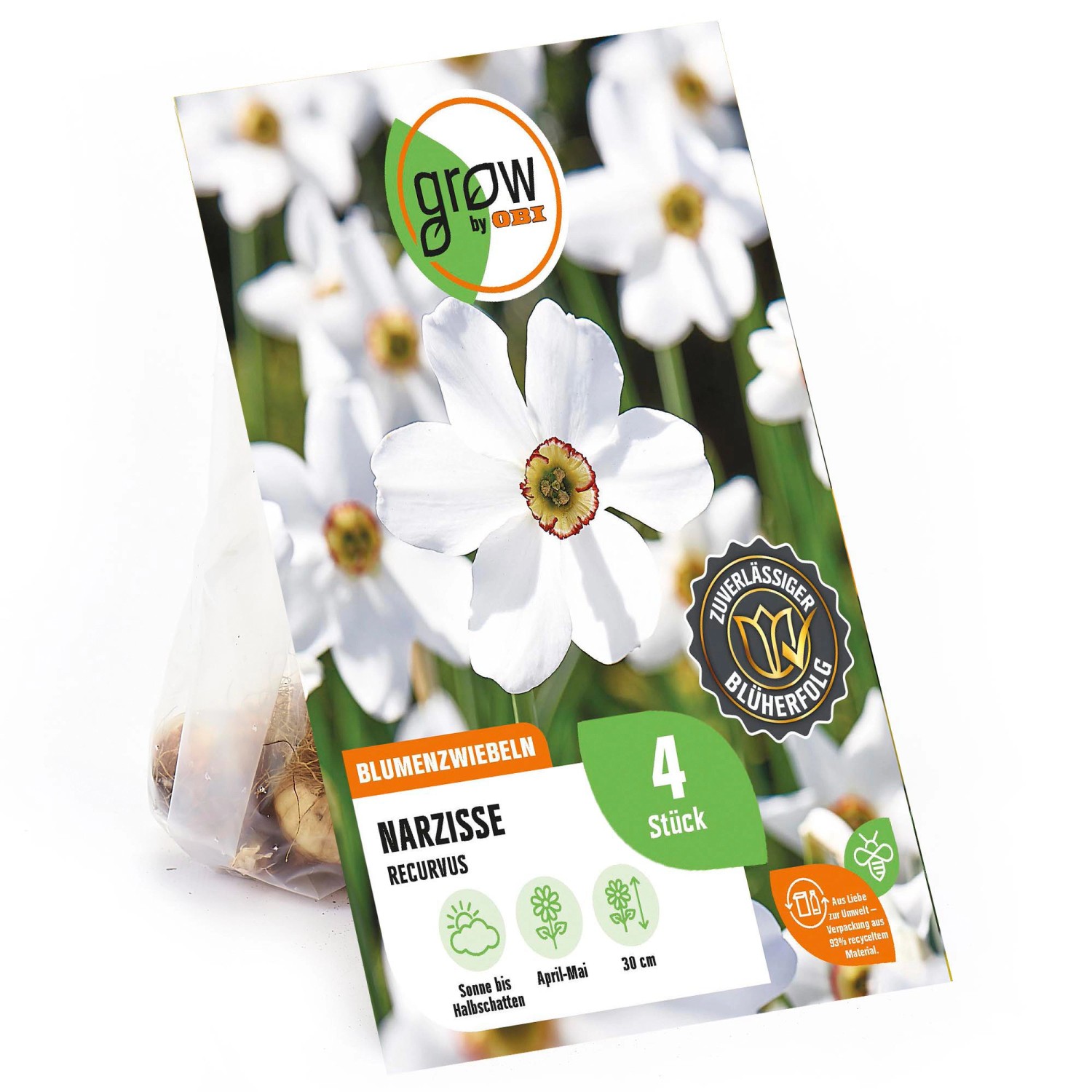Verpackung GROW by OBI Narzisse Recurvus, 4 Stück, weiß-rote Blüten, Blumenzwiebeln für Frühling.