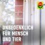 Compo Spinnen-Raus Spray gegen Spinnen und Netze an Fensterrahmen.