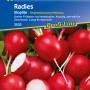 Radieschen Stoplite: Scharlachrote, runde Knollen, saftig und mild. Gemüsesamen für lange Ernteperioden.